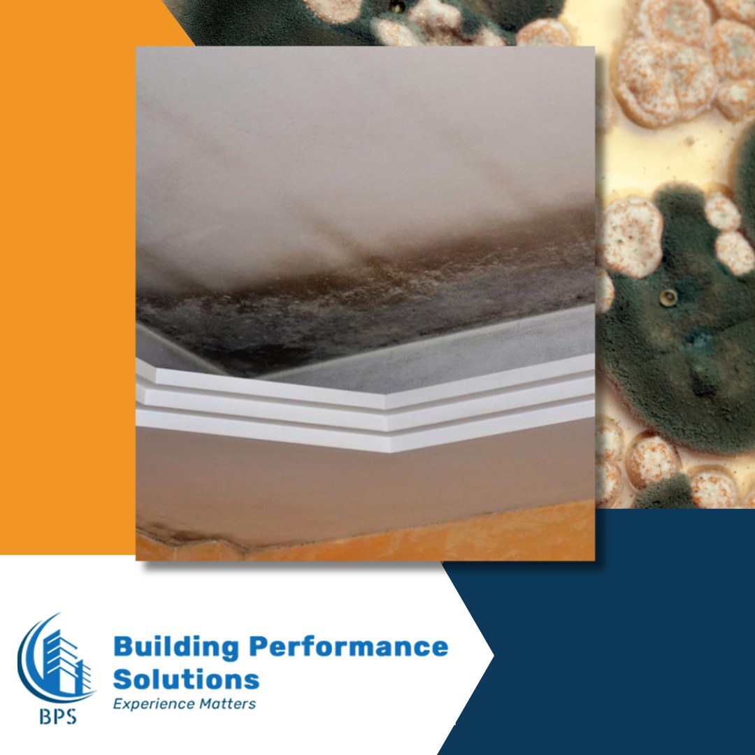 AVOID A MOLD INTERCEPTION! FOUR STRATEGIC PLAYS TO DEFEND AGAINST EXCESSIVE MOISTURE THIS SEASON